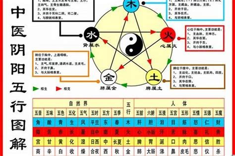 土鼠年|不同年份的生肖鼠，五行各屬金木水火土都有什麼特點。